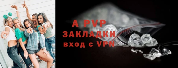 прущий лед Михайлов
