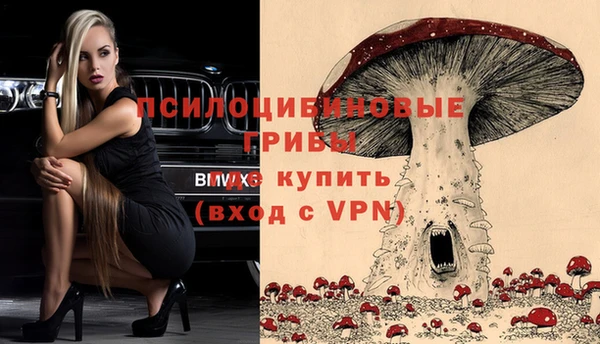 прущий лед Михайлов