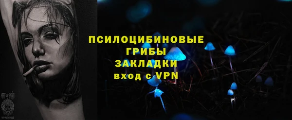 apvp Надым