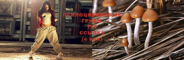 соль ск Навашино