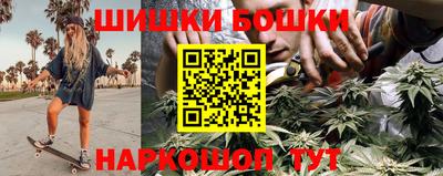 шишки Камышлов