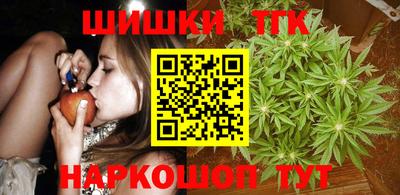 шишки Камышлов