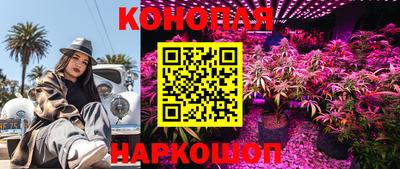 шишки Камышлов