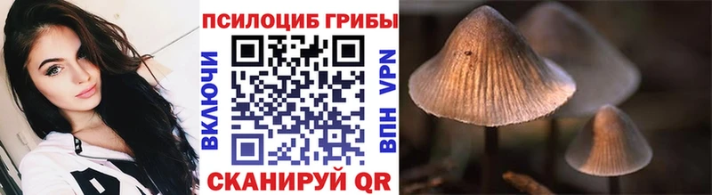Галлюциногенные грибы мицелий  наркошоп  Ялта 