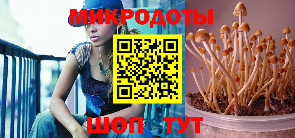 Псилоцибиновые грибы Psilocybe  Псилоцибиновые грибы Psilocybine cubensis  Вход с VPN  Ялта 